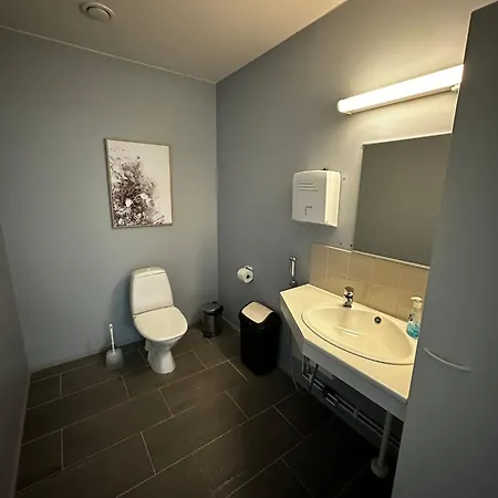 Jaeaeskaen Loma Antin Tupa