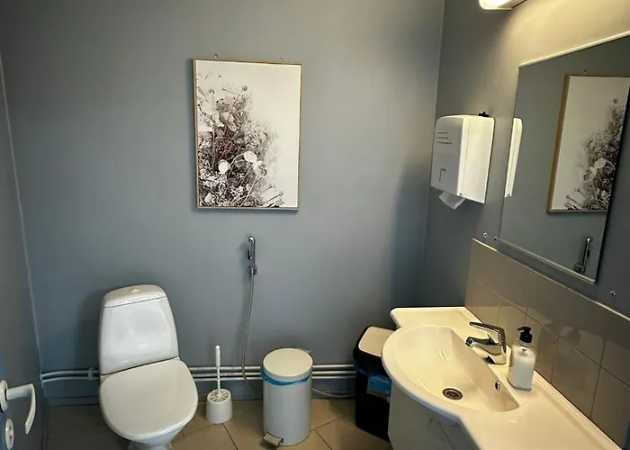 Jaeaeskaen Loma Antin Tupa بيت شباب هارما